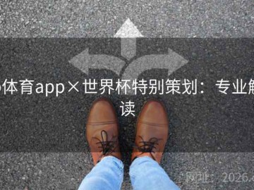 b体育app×世界杯特别策划：专业解读