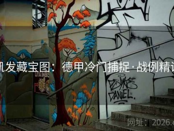 凯发藏宝图：德甲冷门捕捉·战例精讲