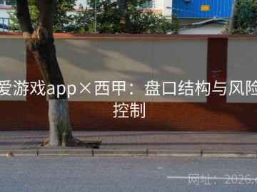 爱游戏app×西甲：盘口结构与风险控制