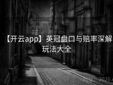 【开云app】英冠盘口与赔率深解：玩法大全