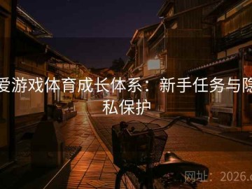 爱游戏体育成长体系：新手任务与隐私保护