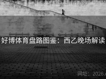 好博体育盘路图鉴：西乙晚场解读