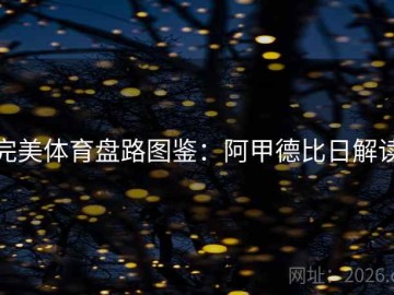 完美体育盘路图鉴：阿甲德比日解读