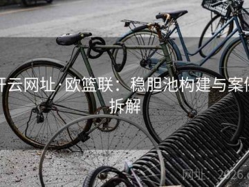 开云网址·欧篮联：稳胆池构建与案例拆解