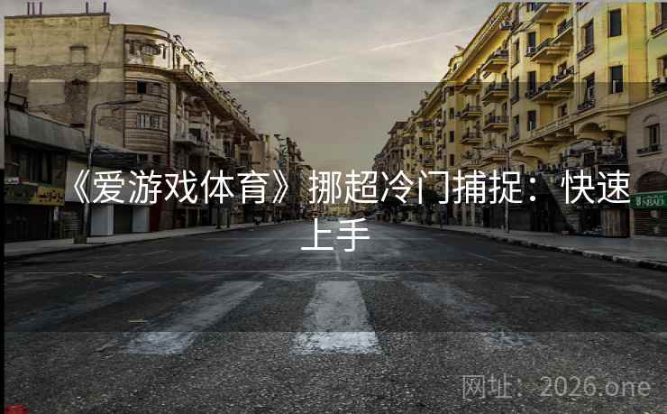 《爱游戏体育》挪超冷门捕捉:快速上手 《爱游戏体育》挪超冷门捕捉:快速上手