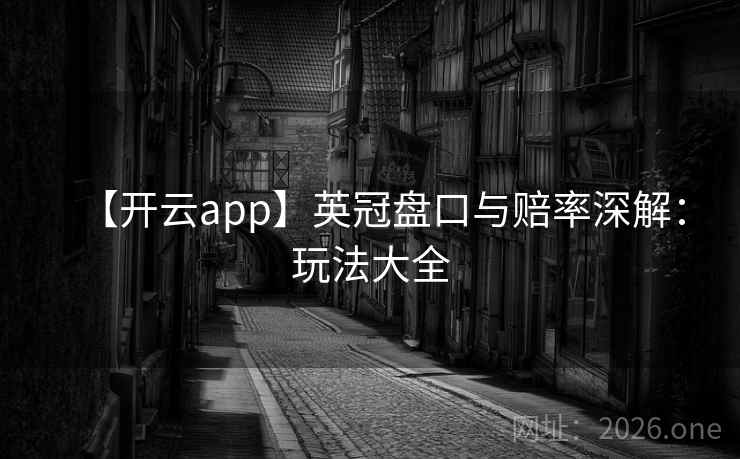 【开云app】英冠盘口与赔率深解：玩法大全